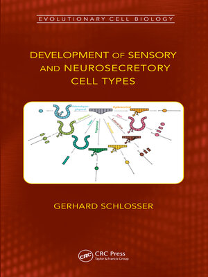 cover image of Development of Sensory and Neurosecretory Cell Types